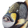 Titan Triggerfish